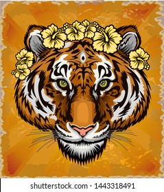 Beautiful face portrait of tiger. Striped fur coat