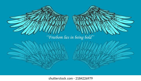 beautiful fairy wings colorful vector bird wing and angle wing