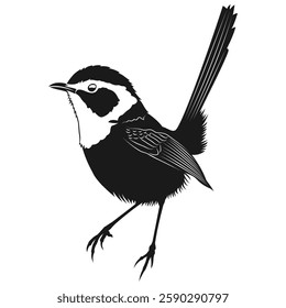 Beautiful Fairy Wren bird vector design _ Bright Colored Bird