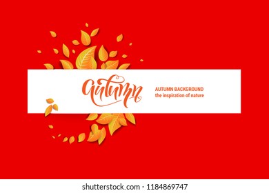 Beautiful fall leaves banner