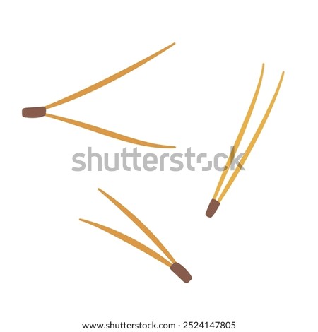 Beautiful falling yellow pine needles as a symbol of autumn forest foliage isolated on white background. Hand drawn vector flat colored illustration