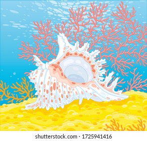 Beautiful fancy white shell with pink spots among colorful corals on bright yellow sand of a tropical reef in a southern sea, vector cartoon illustration