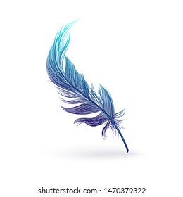 Beautiful Fantastic Feather Bird Wing Fluffy Stock Vector (Royalty Free ...