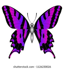 Beautiful fantastic purple butterfly. Vector illustration isolated on white background.