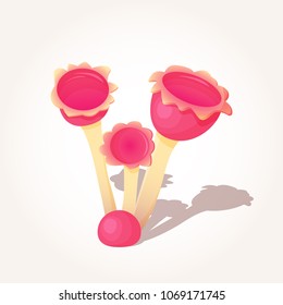 Beautiful fantasy mushroom. Magic unusual nature elements isolated on white background. Vector illustration for Mushrooms Collection.