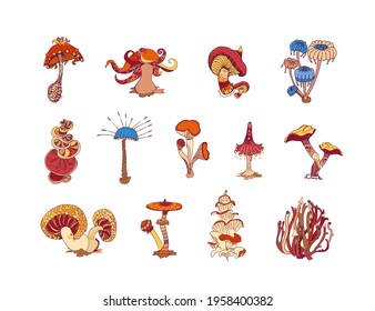 Beautiful fantasy mushrooms set. Magic mushrooms of various shape, unusual nature elements. Vector illustration