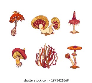 Beautiful fantasy mushrooms set. Magic mushrooms of various shape, unusual nature elements. Vector illustration