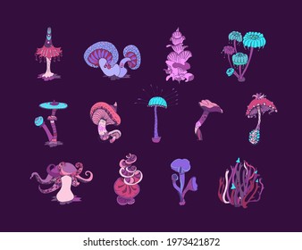 Beautiful fantasy mushrooms set. Magic mushrooms of various shape, unusual nature elements on dark background. Hand drawn concept. Vector illustration.