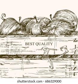 Beautiful farm background. A box of fresh apples. Best quality. Engraving. Vintage style. Vector illustration