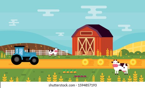 Beautiful farm, countryside, village, green landscape, cows, tractor: flat vector illustration