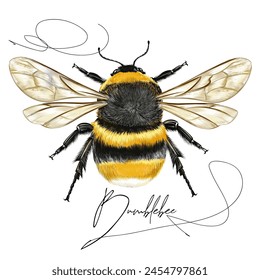 Beautiful fashion print with realistic vector bumblebee