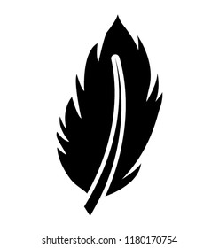 
beautiful feather with different cuts, branta feather 

