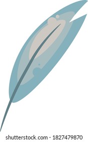 Beautiful feather, illustration, vector on white background