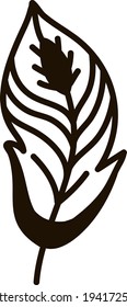 Beautiful feather, illustration, vector on a white background