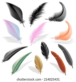 Beautiful Feathers 