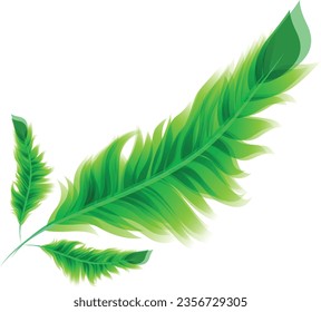 beautiful feathers design vector file.