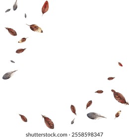 Beautiful feathers in various shades of red, brown, and blue scattered on a white background. Perfect for nature themed designs, boho decor, and artistic projects.