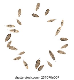 Beautiful  feathers in various shades of red, brown, and blue scattered on a white background. Perfect for nature-themed designs, boho decor, and artistic projects. 