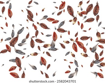 Beautiful feathers in various shades of red, brown, and blue scattered on a white background. Perfect for nature themed designs, boho decor, and artistic projects.