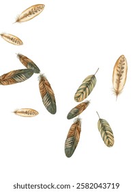 Beautiful  feathers in various shades of red, brown, and blue scattered on a white background. Perfect for nature-themed designs, boho decor, and artistic projects. 