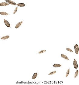 Beautiful  feathers in various shades of red, brown, and blue scattered on a white background. Perfect for nature-themed designs, boho decor, and artistic projects. 