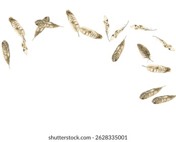 Beautiful  feathers in various shades of red, brown, and blue scattered on a white background. Perfect for nature-themed designs, boho decor, and artistic projects. 