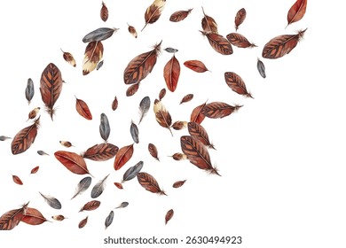 Beautiful feathers in various shades of red, brown, and blue scattered on a white background. Perfect for nature themed designs, boho decor, and artistic projects.