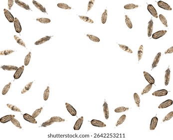 Beautiful  feathers in various shades of red, brown, and blue scattered on a white background. Perfect for nature-themed designs, boho decor, and artistic projects. 
