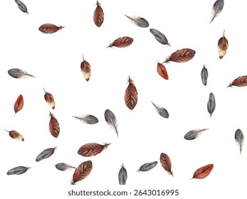 Beautiful feathers in various shades of red, brown, and blue scattered on a white background. Perfect for nature themed designs, boho decor, and artistic projects.