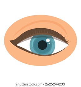 Beautiful female eye with makeup looking up isolated on white background