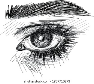 Beautiful female eye - original sketch graphic art