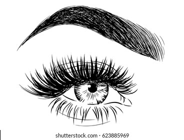 Beautiful Female Eyebrow And Big Eye With Fake Lashes