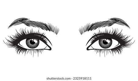 Beautiful female eyes with big lashes and eyebrows