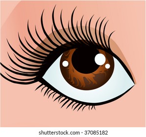 Beautiful female eyes with long eyelashes