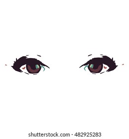 Beautiful female eyes on a white background.