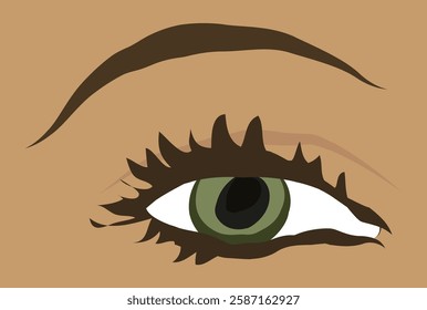 beautiful female eyes vector illustration