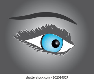 Beautiful female eye.Vector illustration