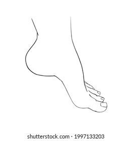 Beautiful female feet barefoot sketch. Black-and-white outline sketch. A design element for spa, manicure or cosmetics. Vector illustration of a contour.