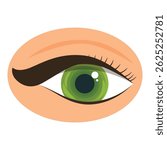 Beautiful female green eye with long black eyelashes and perfect makeup looking up