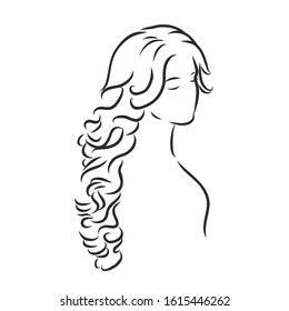 Beautiful female hairstyle, vector sketch 