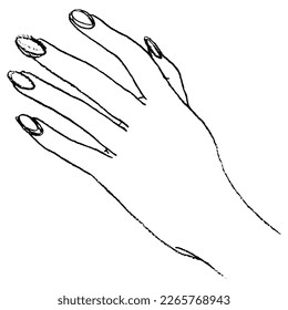 Beautiful female hand with long nails. Reaching or touching gesture. Hand drawn linear doodle rough sketch. Black silhouette on white background.