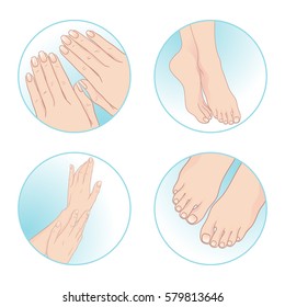 Beautiful female hands and feet, manicure and pedicure. Body care set design vector