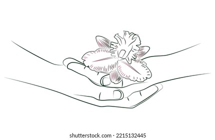 Beautiful female hands with pink orchid flower close-up. Hand touches delicate orchid. Tropical plant in hands, nature background. Ecology concept. Spring fresh feeling. Editable linear sketch