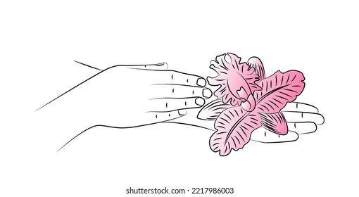 Beautiful female hands with pink orchid flower close-up. Care for hands and nails, spa treatments. Time for relaxing hand baths and natural manicures. Concept organic skin care. Editable linear sketch