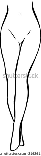 Beautiful Female Legs Contour Image Stock Vector Royalty Free 2162611295 Shutterstock 