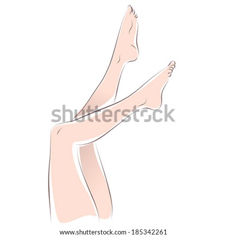 Beautiful Female Legs Drawn Lines Stock Vector (royalty Free) 185342261 