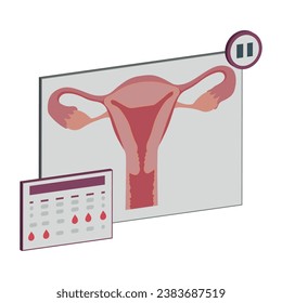 Beautiful Female Reproductive System. Feminine Gynecology. menopause concept.