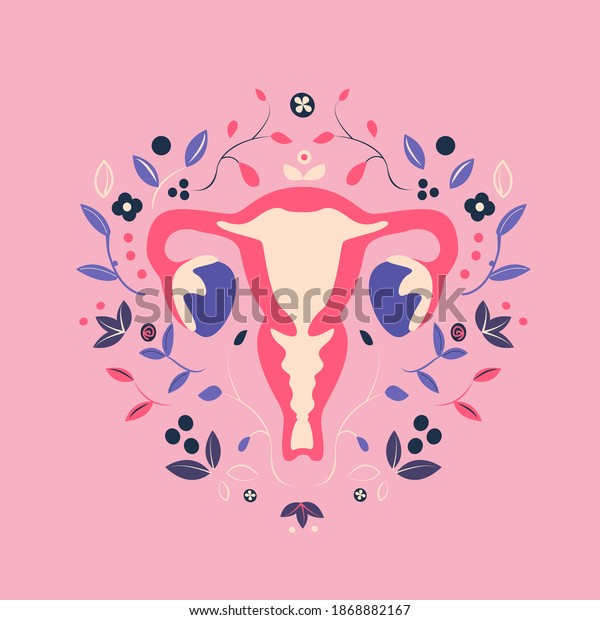 Beautiful Female Reproductive System Flowersfeminine Gynecologyanatomical Stock Vector Royalty 7417