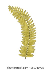 Beautiful fern leaves isolated on white background. Hand-drawn contour lines and strokes.