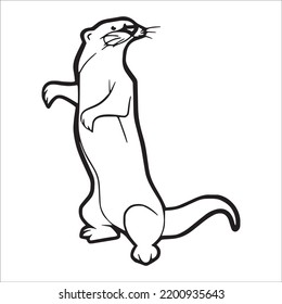 beautiful Ferret line art images,Ferret outline drawing,Ferret vector art and illustrations art